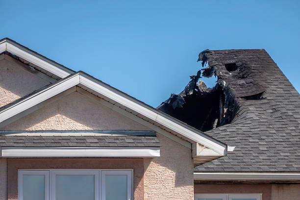 Licensed Fire Damage Removal service in Pinellas Park, FL - Fire Damage Laser Cleaning